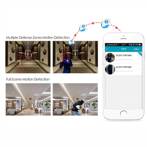motion detection alarm DVR