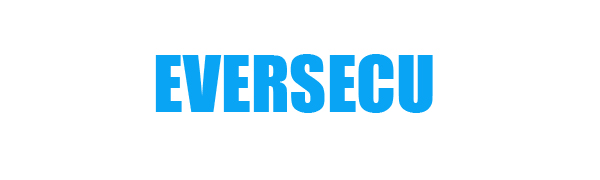 Security Camera 